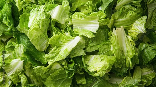 A Caesar salad with chopped romaine lettuce