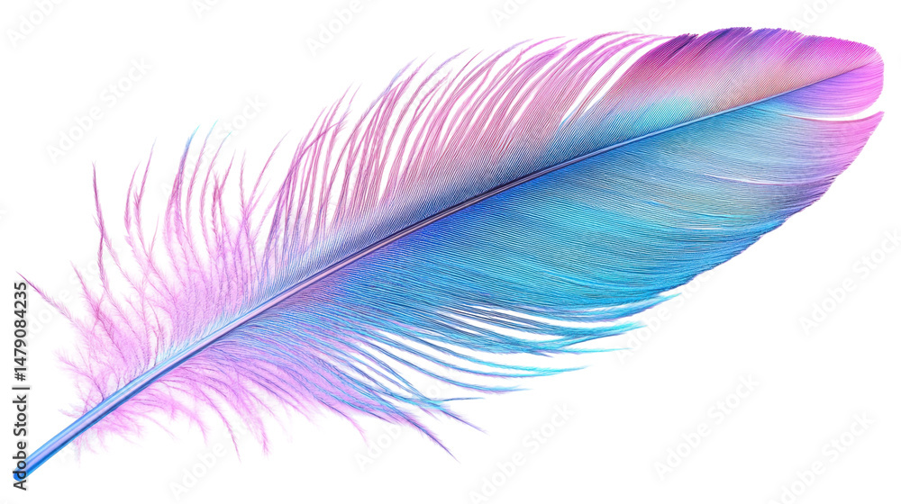 Fototapeta premium Colorful Gradient Feather Design with Delicate Texture on a Transparent Background