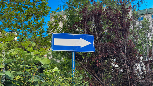 A blue arrow sign pointing right amidst lush greenery and trees, guiding the way under a clear sky, symbolizing direction and clarity.

