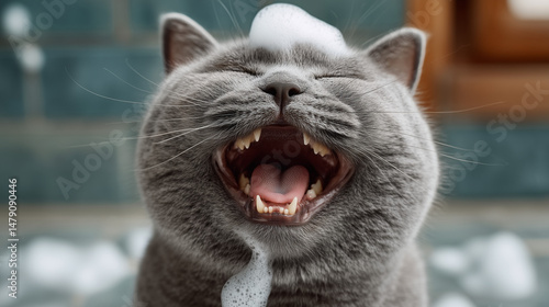 Joyful Feline: A close-up c...