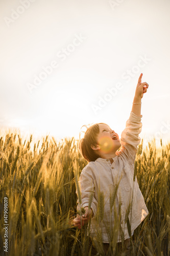 Wallpaper Mural Little boy playing with wheat stalks in a sunny grain field. Natural rural scene showing joyful childhood, freedom, and connection with nature on a warm summer day. Torontodigital.ca
