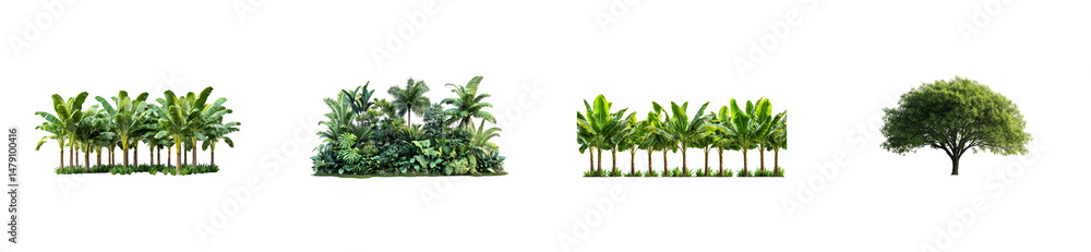 Four groupings lush plants and trees on transparent background, cut out transparent Four groupings lush plants and trees on transparent background, cut out transparent