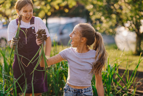 Tableau sur toile Two young girls harvesting onions in vegetable garden having fun