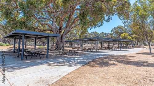 Park picnic shelters beneath large trees.