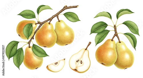 Golden Hour Pears: A Watercolor Delight