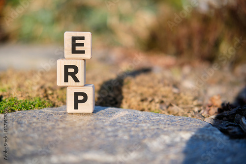 ERP - text on cubes standing on a stone on a natural background