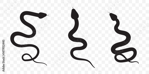 Snake animal black silhouette icon - designs for jungle animals snake Safaris, wildlife, rainforest, vector on transparent background. EPS 10.
