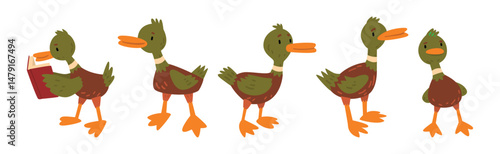 Funny Green Duck Character as Feathered Waterfowl Bird Vector Set