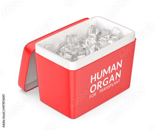 Empty open human organ transport box with ice inside