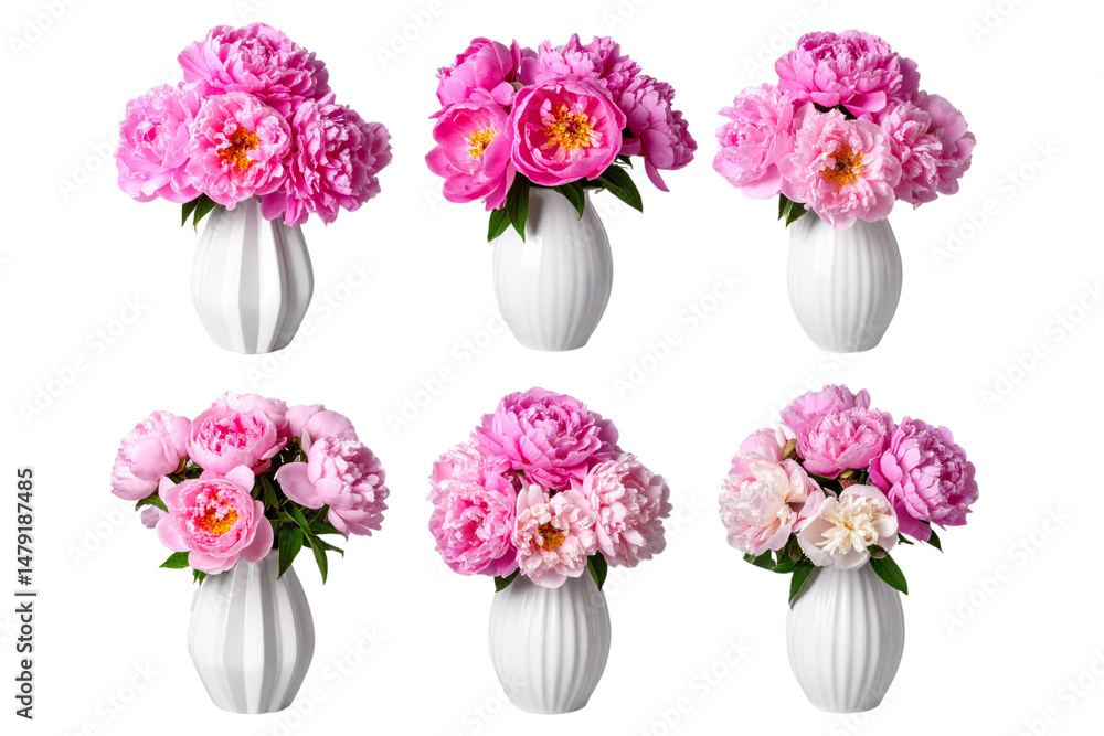 Obraz premium Set of Pink flowers in a white ceramic vase , isolated on a transparent background