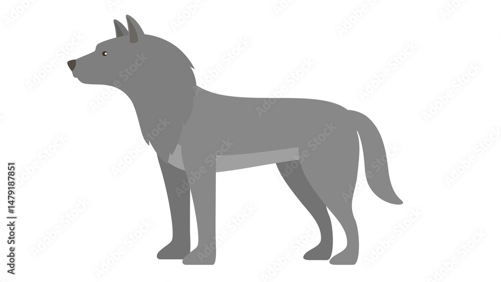 Obraz premium Gray Wolf Illustration - Side View