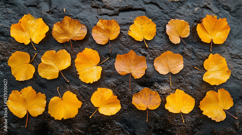 Fallen autumn leaves adorn dark stone