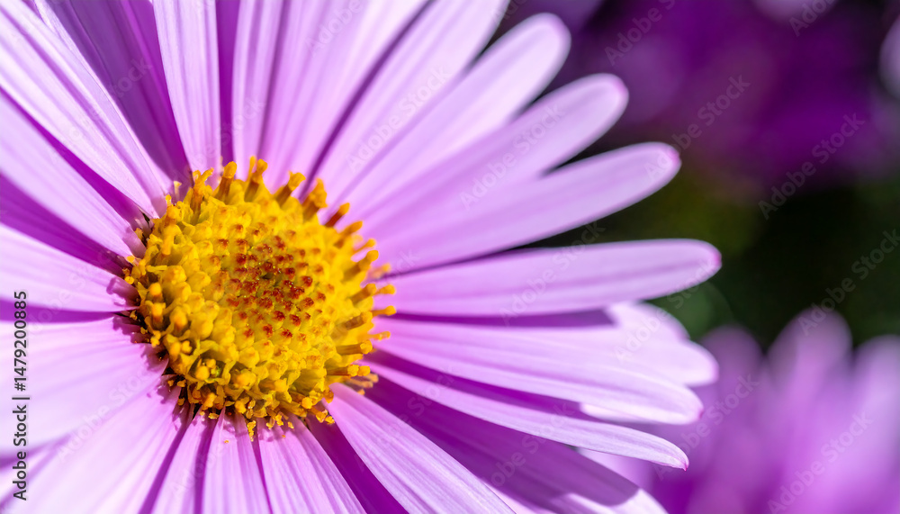 Vibrant purple flower with yellow center in a lush garden scene full of life Vibrant purple flower with yellow center in a lush garden scene full of life