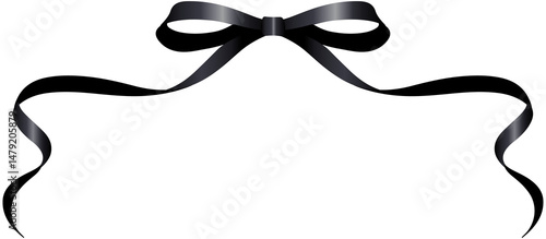 Wallpaper Mural Black ribbon border decoration Torontodigital.ca