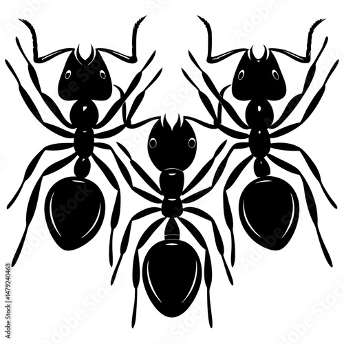 Three detailed black ants creating a mirrored effect on a white background