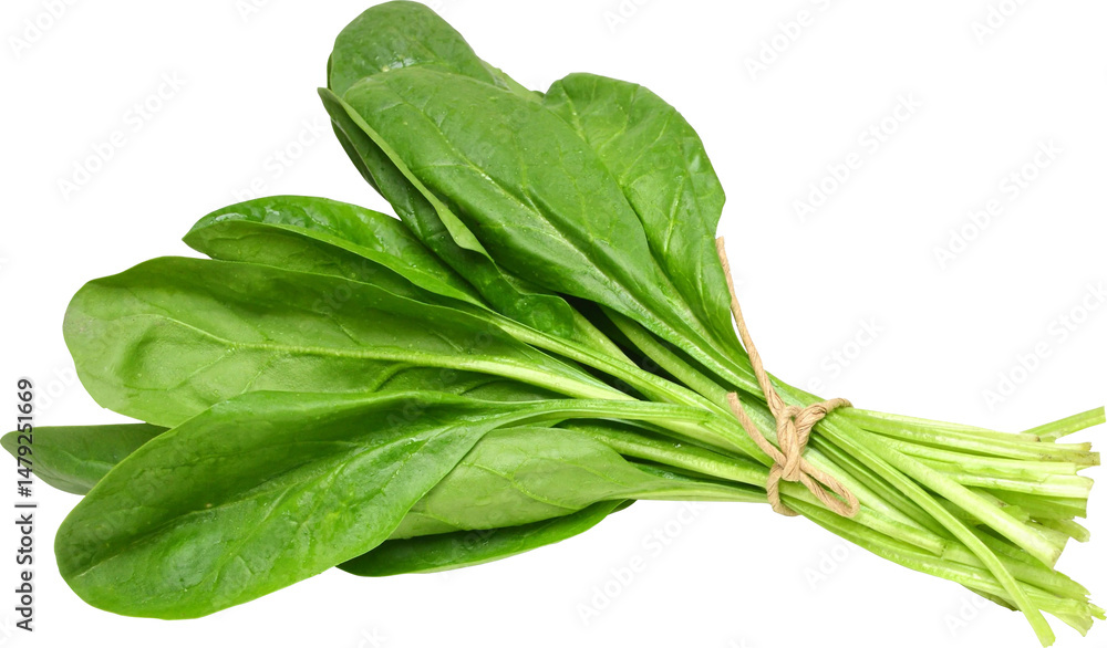 Spinach Isolated From Background Spinach Isolated From Background