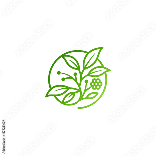 abstract leaf line logo, plant leaf shape icon, fresh colors dynamic green