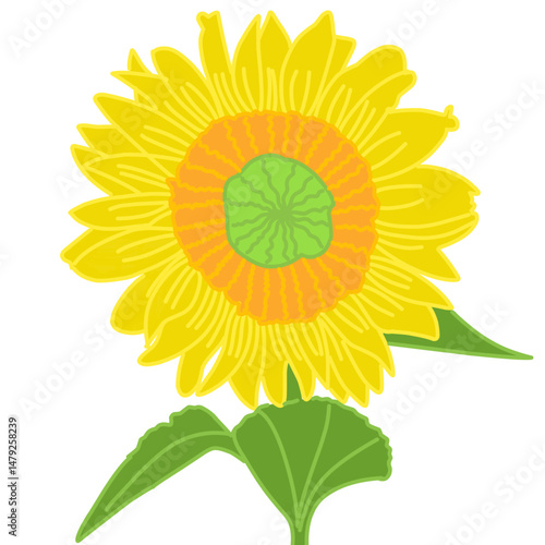 Bright and cheerful illustration of a sunflower with yellow petals, green center, and green leaves on a white background
