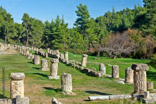 Ruins of ancient fluted columns scattered across the lush sanctuary of Amphiareion of Oropos, surrounded by dense forest and natural beauty.