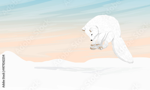 Arctic fox hunting a mouse under the snow. Arctic fox jump. Mouse hunting. Realistic vector landscape