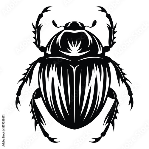 Black and White Scarab Beetle Illustration with Intricate Leg Details