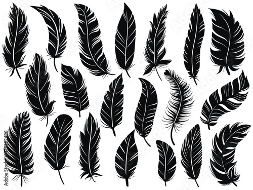 Graceful bird feathers black silhouette set. Shadow of hovering, falling, curved, straight feathers clipart. Vector elements