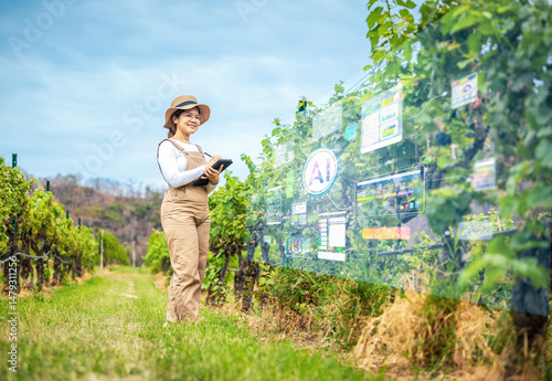 Photography Smart vineyard system with winegrower working with digital graphic display