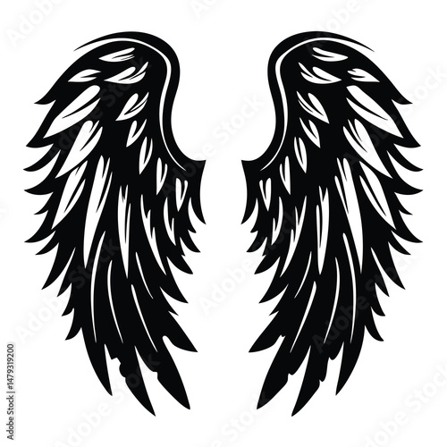 Symmetrical pair of detailed black angel wings spread out widely on white