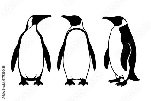 Three emperor penguins standing black and white art