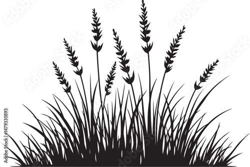 grass silhouette vector