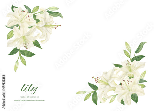 水彩で描いた白いユリのコーナーフレーム素材
