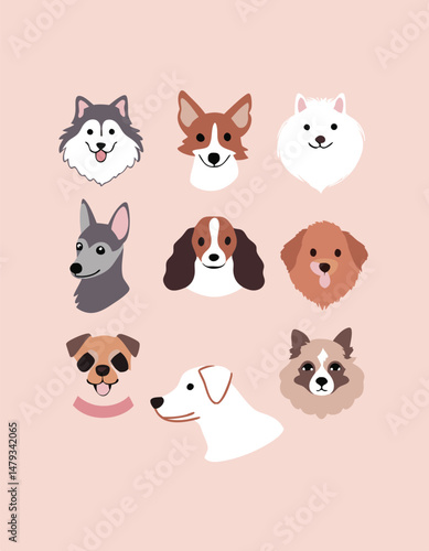 Large Dog Breeds Faces collection. Vector illustration of funny cartoon different breeds dogs in trendy flat style. Isolated on light pink background.