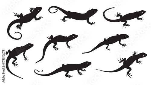 Gecko Silhouettes 8 Vectors