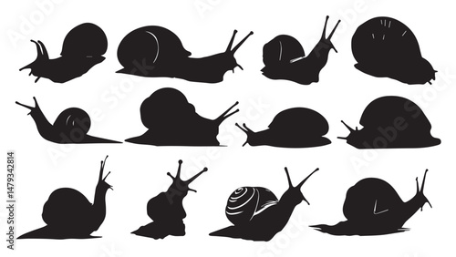 Snail Silhouettes 12 SVGs