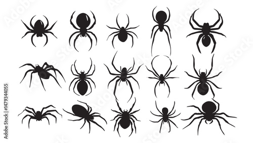 Spider Silhouettes Vectors
