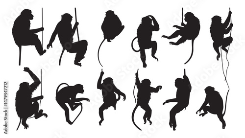 Monkey Silhouettes Climbing Swinging
