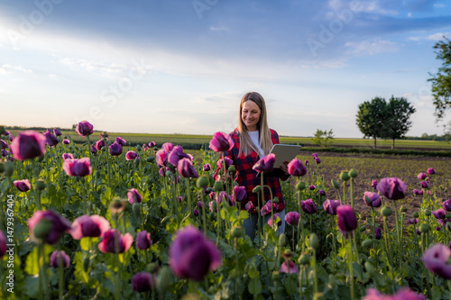 Canvas Print Young agronomist using a tablet while examining the growth of opium poppies in a