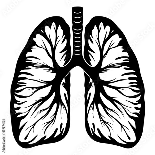 Detailed Black and White Illustration of Human Lungs with Intricate Branching Bronchial Tree Anatomy