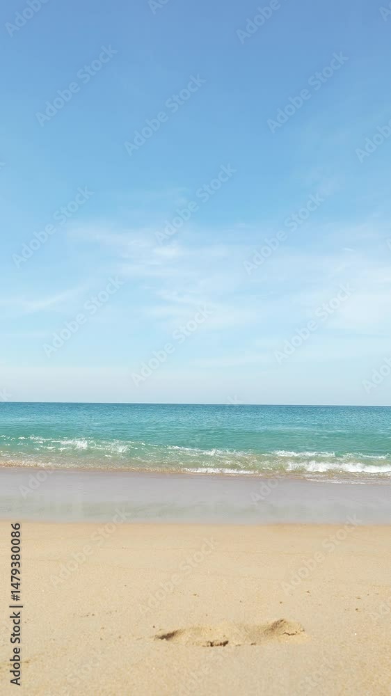 tropical beach background with palm trees casting shadows on sand near turquoise water with copy space vertical. tropical beach background with palm trees casting shadows on sand near turquoise water with copy space vertical.