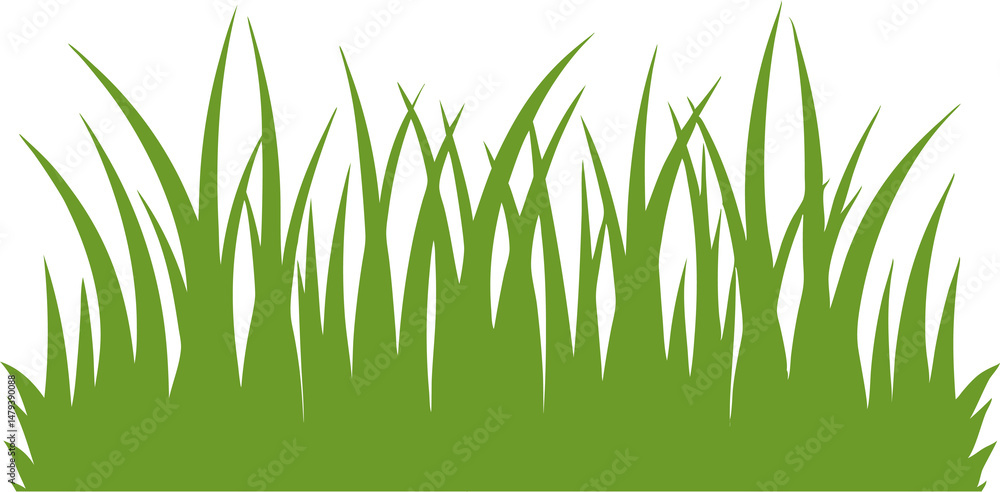 Fototapeta premium Green Grass Border PNG – Fresh Nature Border with Transparent Background, Lawn and Garden Edge Illustration for Design