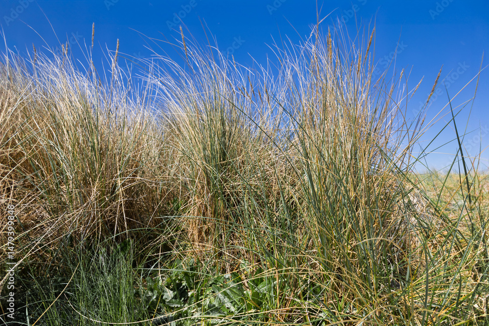 Fototapeta premium Fotowalk in Norddeich