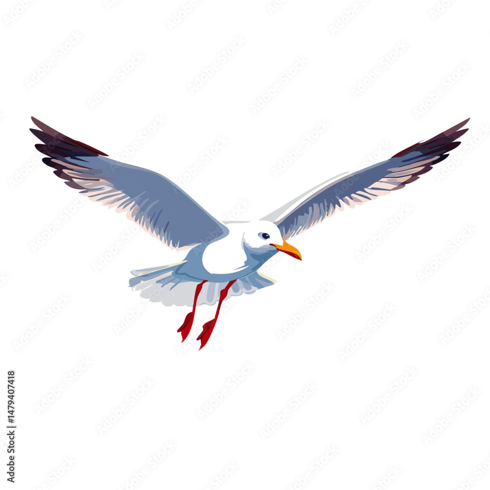 Obraz premium flying seagull bird vector graphic design