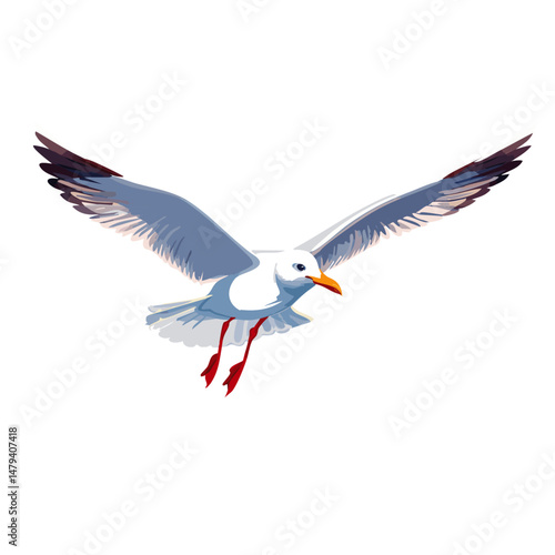 flying seagull bird vector graphic design