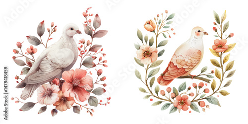 dove and flowers watercolor vector illustration