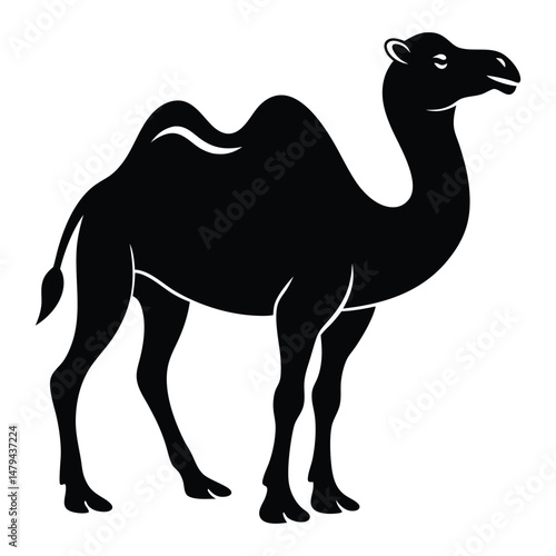 silhouette of Camel vector on white background, Camel icon vector, black camel animal silhouette