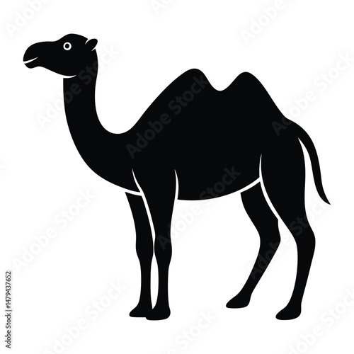 silhouette of Camel vector on white background, Camel icon vector, black camel animal silhouette