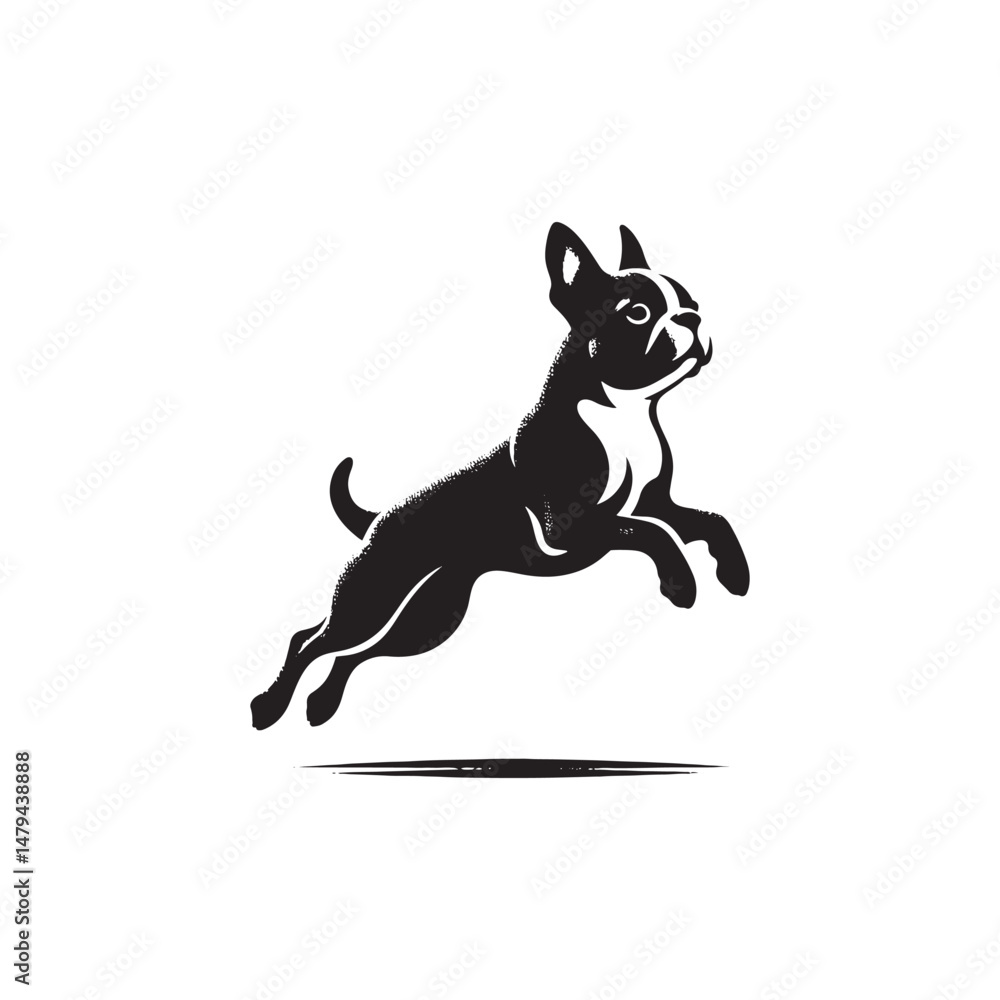 Fototapeta premium Boston Terrier Dog Silhouette – A charming and energetic canine outline, perfect for digital art, merchandise, T-shirts, dog breed designs, and pet-themed creative projects. 