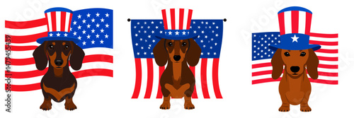 A Dachshund Dog wear uncle sam hat and red white blue American flag overlay on scraf. Independence Day 4th of July Patriotism Usa America Clipart Line Art Vector Illustration. Patriotic.