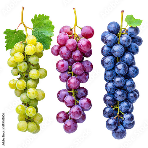 Wallpaper Mural Three bunches of fresh green, red, and blue grapes with leaves isolated PNG with Transparent Background Torontodigital.ca