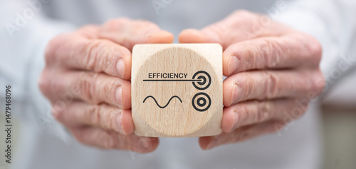 Concept of efficiency
